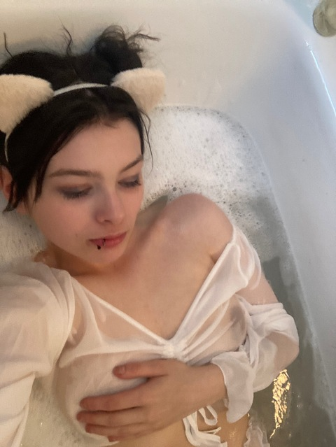 Header of scarletrose212