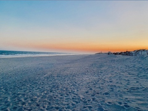 Header of skylaarraee