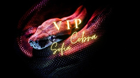 Header of sofia_cobravip