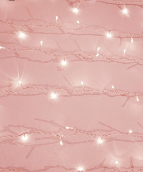 Header of sophia1223