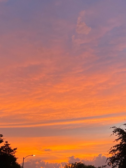 Header of sophiexunplugged