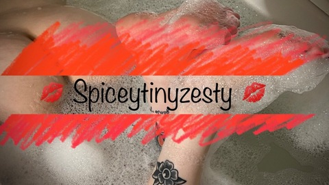 Header of spiceytinyzesty