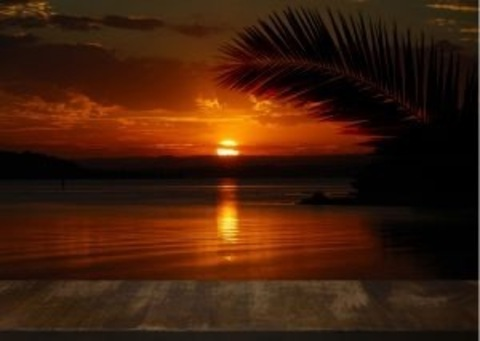 Header of spicyykittiii69