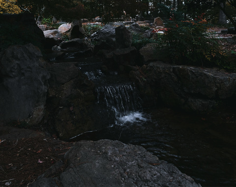 Header of stfulizabeth