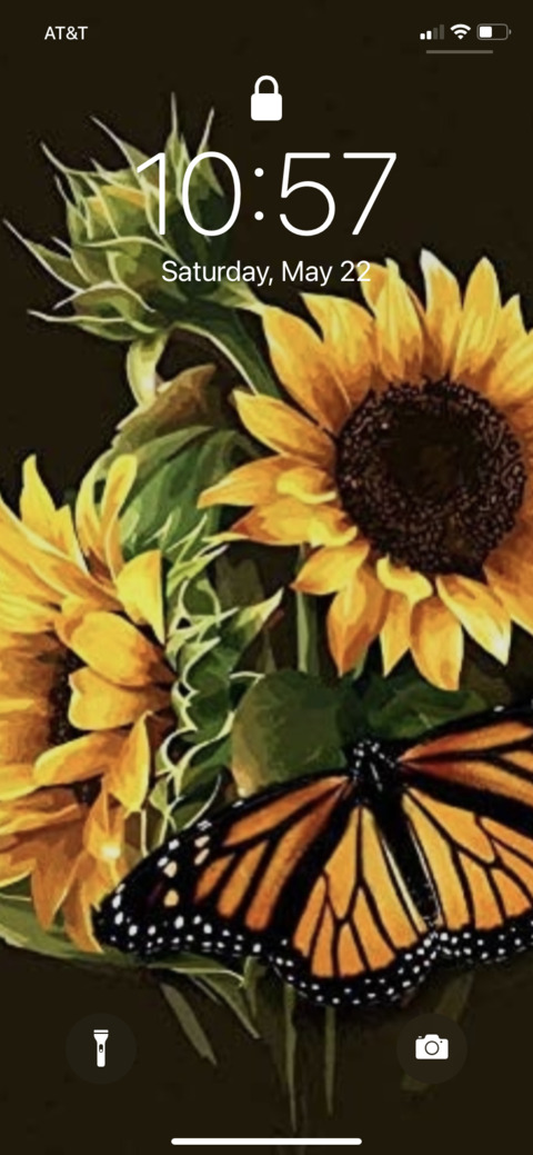 Header of sunflowerbeauty420