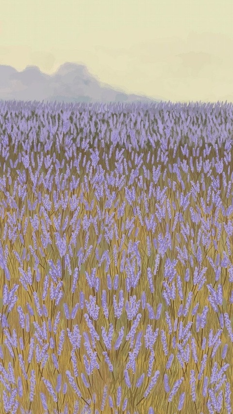 Header of sweetlavanda