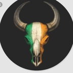 Onlyfans leaks the_irishbull 

 profile picture