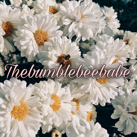 Header of thebumblebeebabe