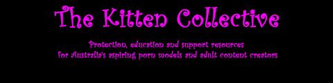 Header of thekittencollective