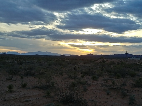 Header of thelance25