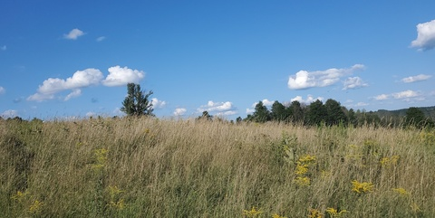 Header of u165560018