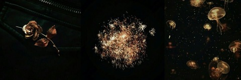 Header of u195283889