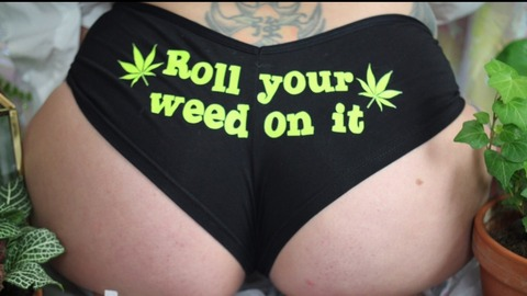 Header of u224359658