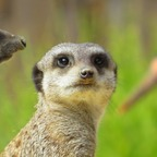 Onlyfans leaks u251110138 

 profile picture