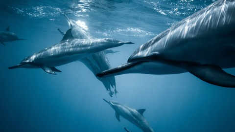 Header of u251110138