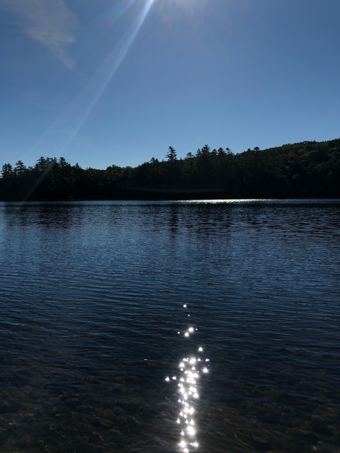 Header of u272404002