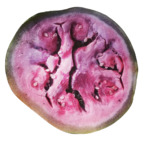 uglytoysss (Ugly Toys) OnlyFans Leaked Videos and Pictures 

 profile picture