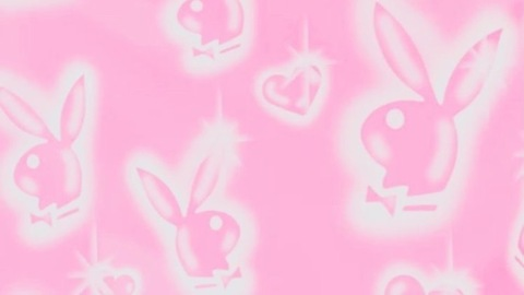 Header of yourpetkitty